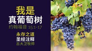 我是真葡萄树：圣经注释之约翰福音 15:1-17 约翰福音 15:7 新标点和合本, 神版