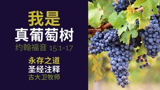 我是真葡萄树：圣经注释之约翰福音 15:1-17 马太福音 13:20-21 新标点和合本, 神版