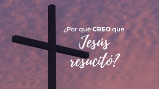 ¿Por qué creo que Jesús resucitó? Mateo 28:12-15 Nueva Versión Internacional - Español