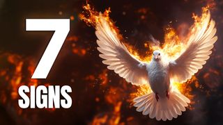 7 Biblical Signs Confirming the Presence of the Holy Spirit Within You Romans 8:16-17 New Century Version