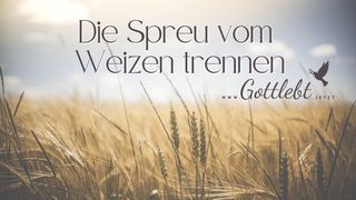 Die Spreu vom Weizen trennen Sprüche 4:23 Hoffnung für alle