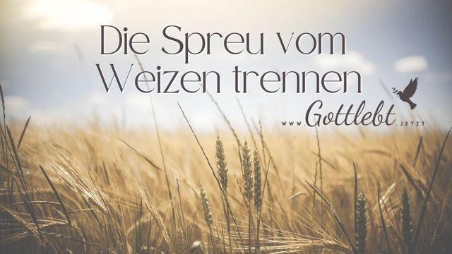 Die Spreu vom Weizen trennen