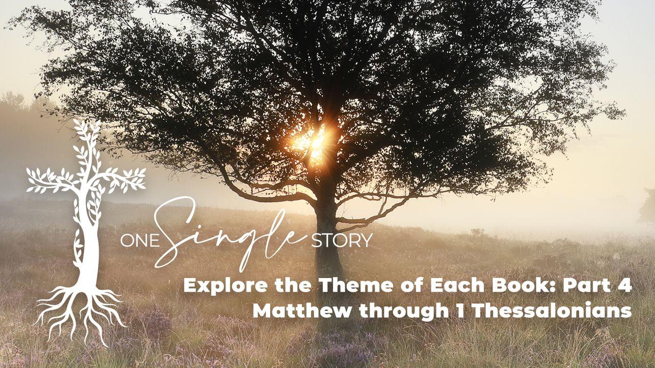 One Single Story Bible Themes Part 4
