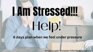 I Am Stressed!!! Help! Deuteronomy 1:31 New American Standard Bible - NASB 1995