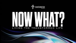 Now What? Living a Transformed Life Hebrews 4:11 Amplified Bible