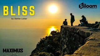From BURNOUT to BLISS Mark 2:17 English Standard Version 2016