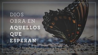 Dios obra en aquellos que esperan Efesios 4:1-7 Nueva Versión Internacional - Español