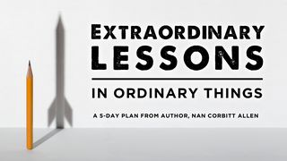 God's Extraordinary Lessons in Ordinary Things Ecclesiastes 1:14 English Standard Version 2016