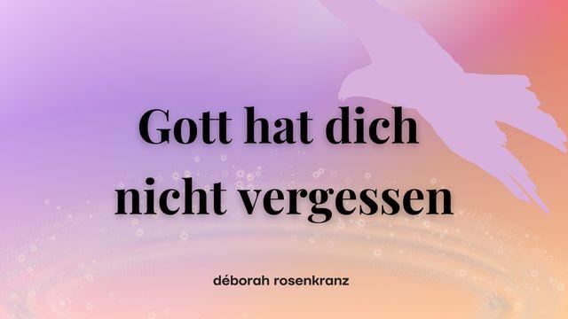 Gott hat dich nicht vergessen