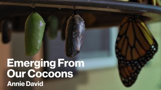 Emerging From Our Cocoons - New Year and Beginnings Proverbs 16:3 The Message