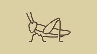 Grasshoppers, Greatness, and God's Kingdom Vangelo secondo Giovanni 1:19-28 Nuova Riveduta 2006