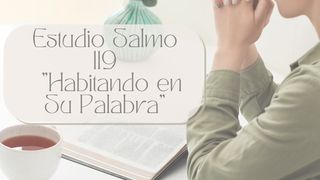 Habitando en Su Palabra: Salmo 119 Salmos 119:114 Nueva Traducción Viviente