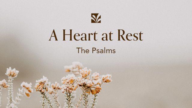 A Heart at Rest