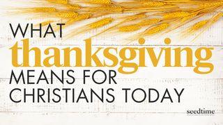 Thanksgiving: What It Really Means for Christians Today 1 Timothy 6:7-10 New Living Translation