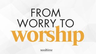 From Worry to Worship: A Faith-Focused Guide to Financial Hope and Thankfulness Colossians 2:7 New Century Version