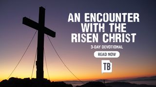 An Encounter With the Risen Christ John 20:14-15 English Standard Version 2016