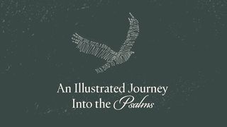 Landscape of Hope: An Illustrated Journey Into the Psalms Psalms 1:6 Amplified Bible
