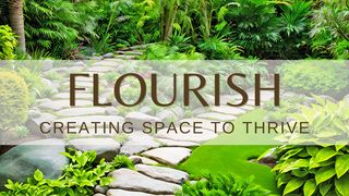 Flourish: Creating Space to Thrive Philippians 3:2-6 The Message