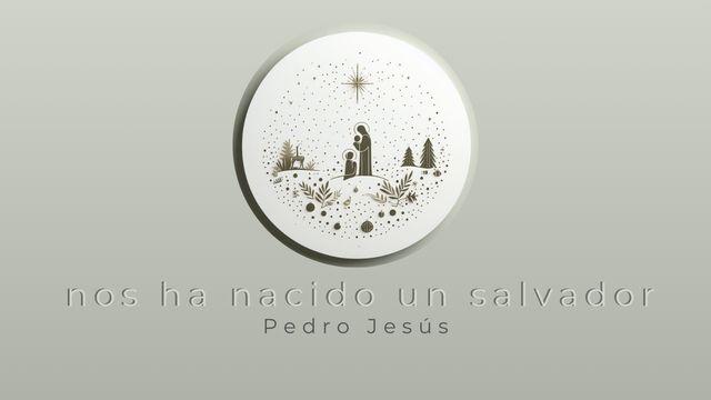 Nos ha nacido un Salvador