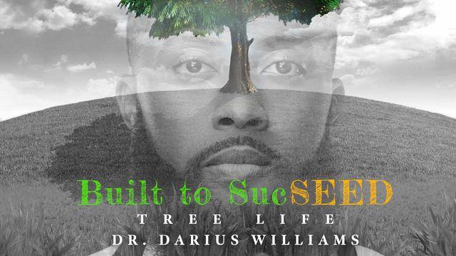 Built to SucSeed