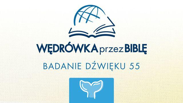 Księga Jonasza