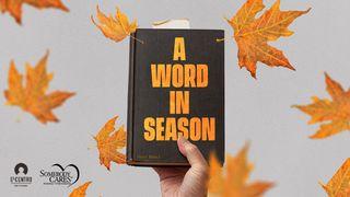 A Word in Season Deuteronomy 8:17-18 The Message