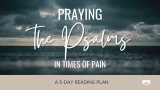 Praying the Psalms in Times of Pain Psalms 42:7-8 New Living Translation