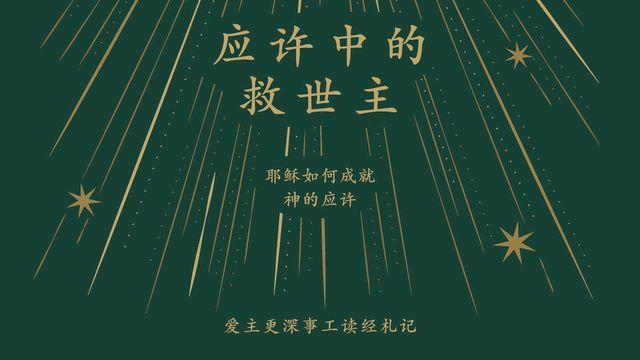 应许中的救世主
