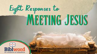 Eight Responses to Meeting Jesus Luke 8:14 Good News Bible (British Version) 2017