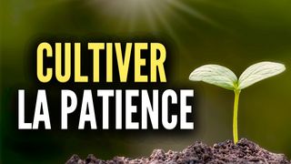 Cultiver la patience Marc 4:26 Bible Segond 21