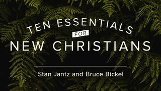 Ten Essentials for New Christians Luke 12:12 American Standard Version