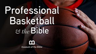 Professional Basketball And The Bible Exodus 20:1-21 New International Version