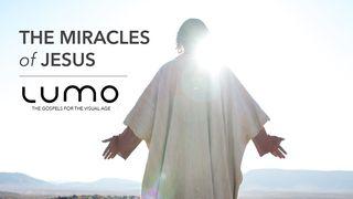The Miracles Of Jesus From The Gospel Of Mark Mark 6:37 Common English Bible
