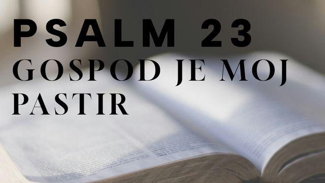 PSALM 23