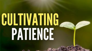 Cultivating Patience Mark 4:26-28 King James Version