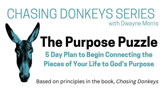 The Purpose Puzzle
