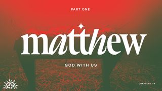 Matthew 1-4: God With Us Matthew 3:1-17 New American Bible, revised edition