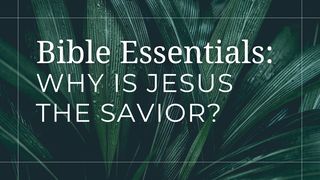 Why Is Jesus the Savior? Revelation 1:3 The Message