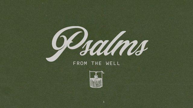 Worship Initiative | Psalms From the Well