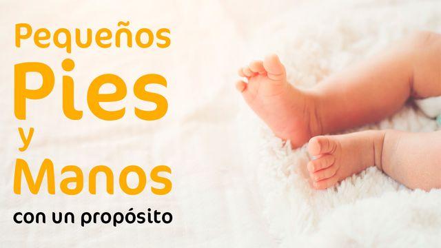 Pequeños pies y manos