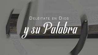 Deléitate En Dios Y Su Palabra Romanos 15:13 Traducción en Lenguaje Actual