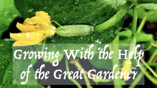 Growing With the Help of the Great Gardener 箴言 24:33-34 Seisho Shinkyoudoyaku 聖書 新共同訳