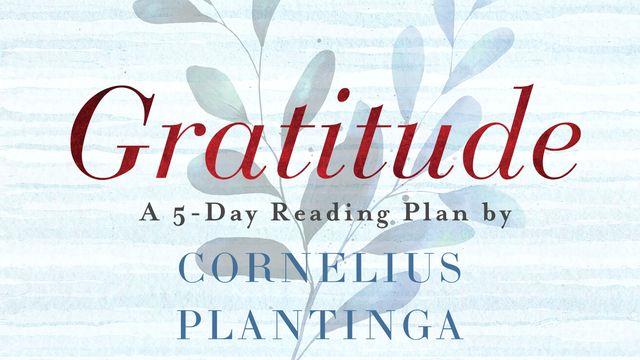 Gratitude by Cornelius Plantinga