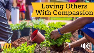 Loving Others With Compassion 1 Thessalonians 5:11 New English Translation
