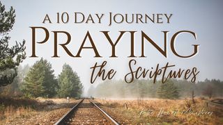 A 10 Day Journey Praying the Scriptures Psalms 136:5 New King James Version