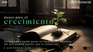 Bases Para Tu Crecimiento Colosenses 3:23-24 Traducción en Lenguaje Actual