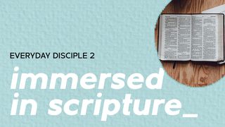 Everyday Disciple 2 - Immersed in Scripture Psalms 19:12 New Living Translation