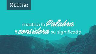 Medita: Mastica La Palabra Y Considera Su Significado Salmos 119:98-105 Biblia Reina Valera 1960