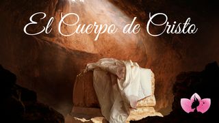 El Cuerpo De Cristo ROMANOS 8:16-17 La Biblia Hispanoamericana (Traducción Interconfesional, versión hispanoamericana)