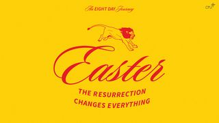 The Resurrection Changes Everything: An 8 Day Easter & Holy Week Devo John 12:12-15 The Message